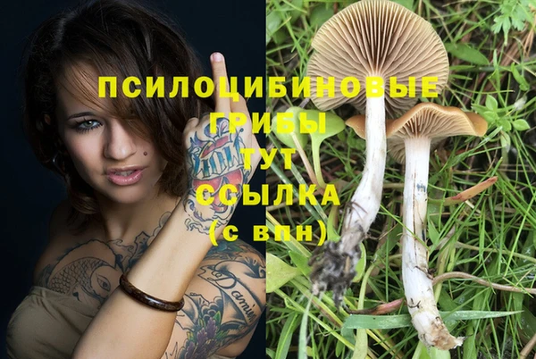 таблы Абинск
