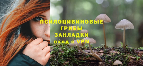 а пвп мука Абаза