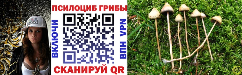 Галлюциногенные грибы Magic Shrooms  ОМГ ОМГ ONION  Нестеровская 