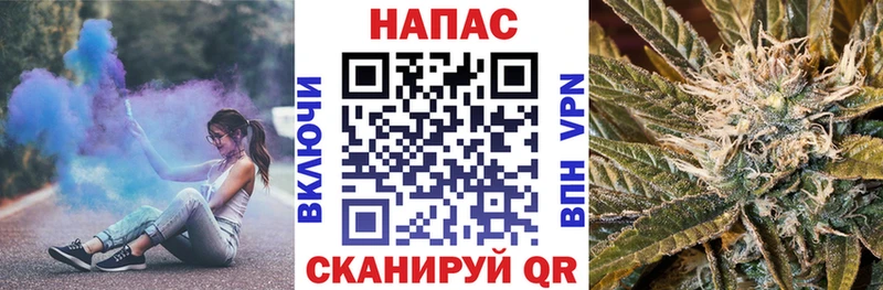 Бошки Шишки семена  как найти закладки  Нестеровская 
