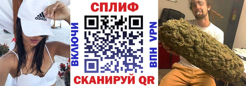 Бошки Шишки планчик Нестеровская